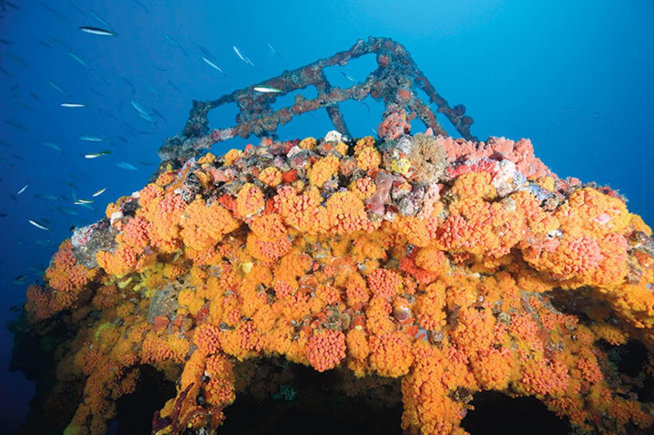 The heavily encrusted Capt. Dan