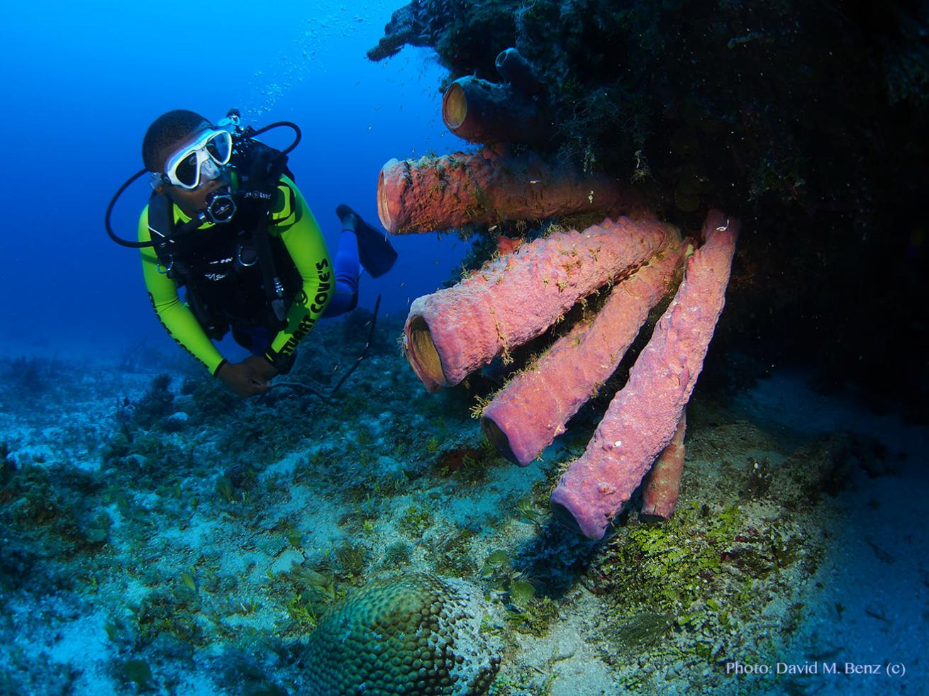 Danger Reef