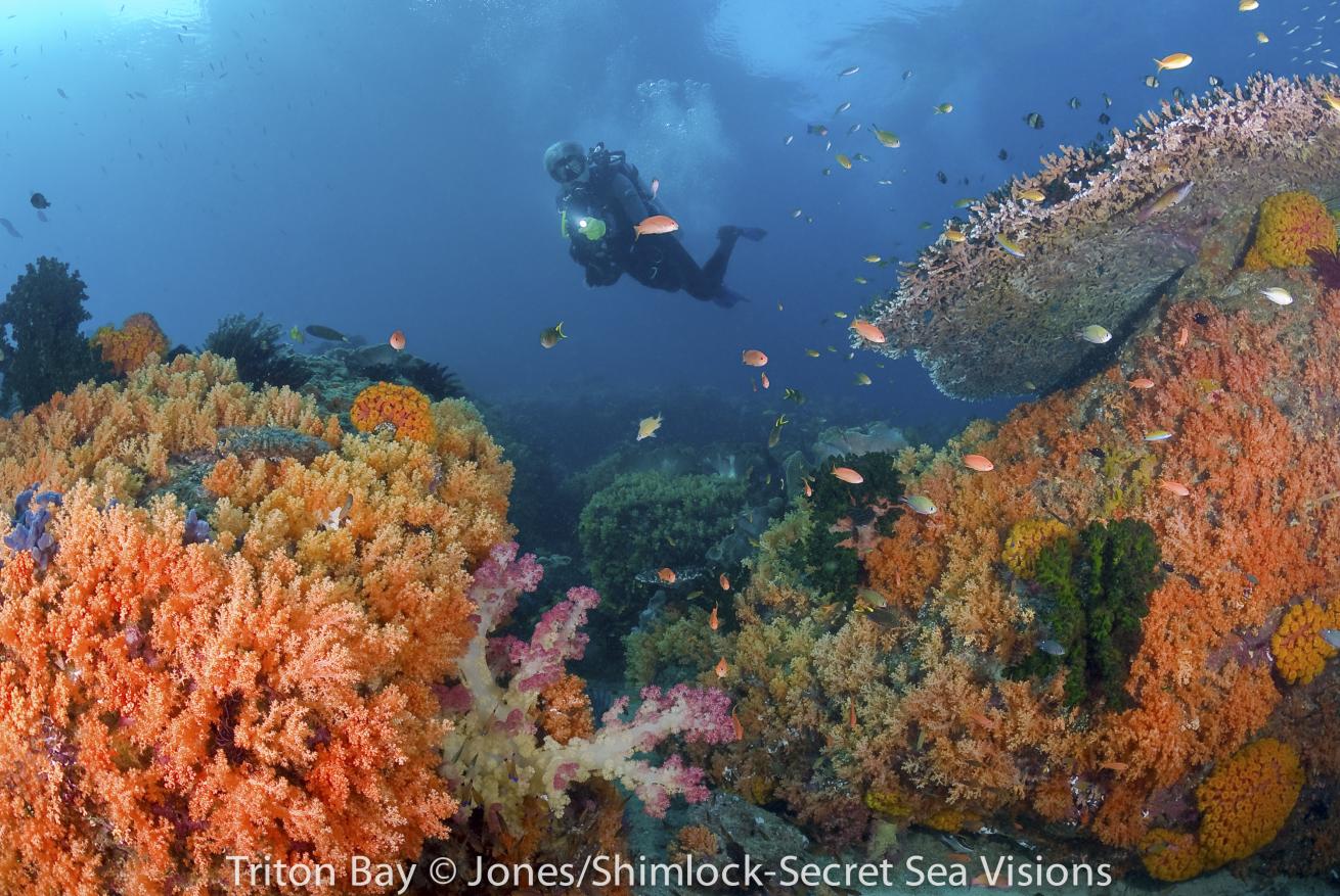 Triton Bay
