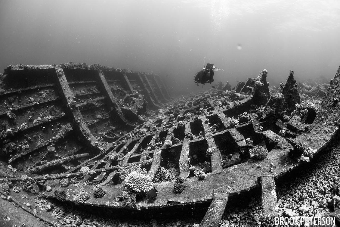 red sea scuba diving