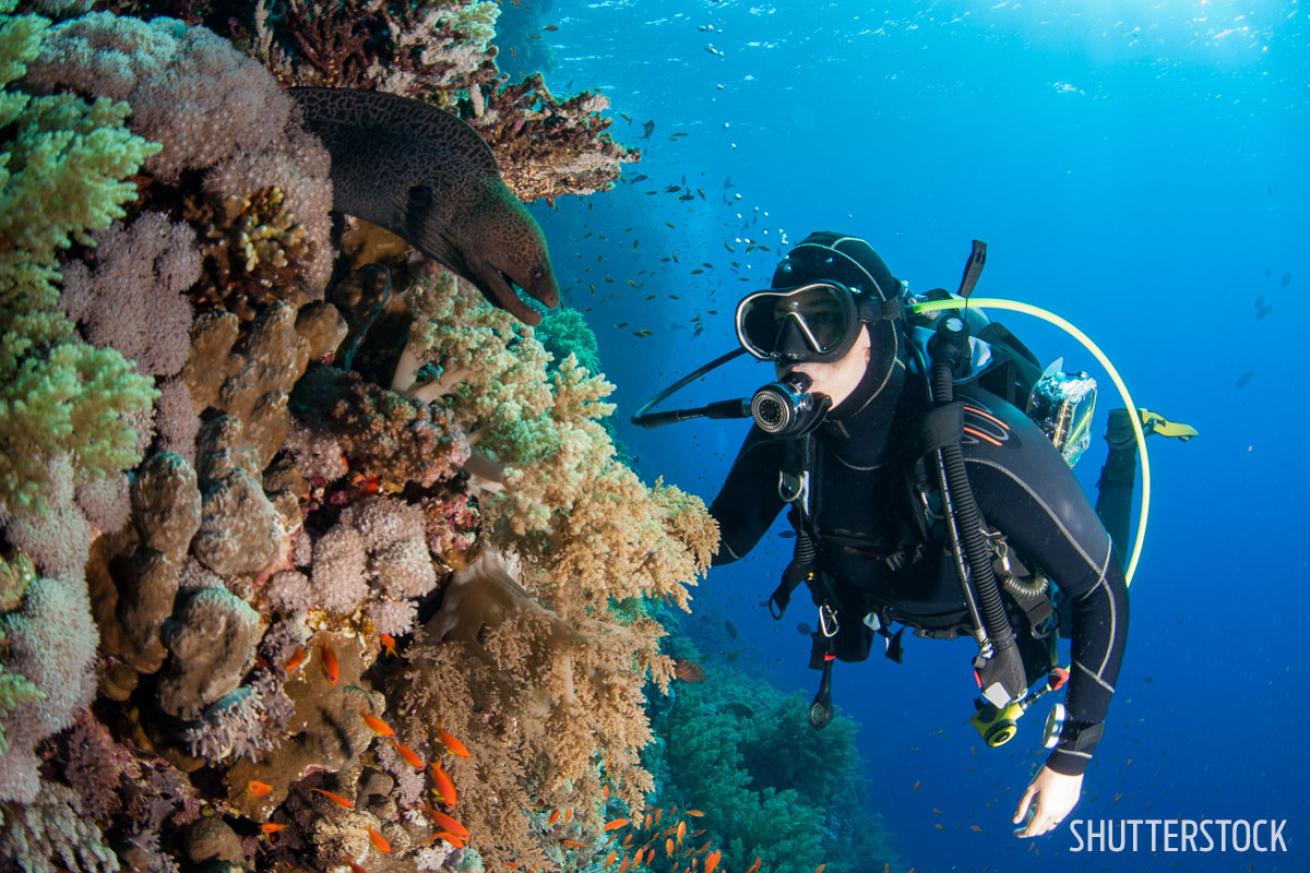 divemaster scuba diving