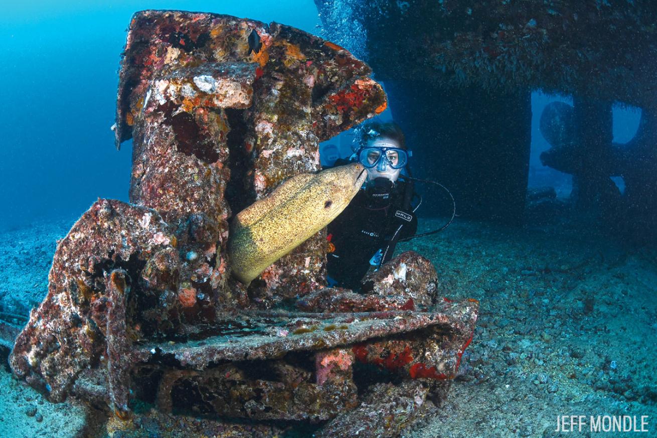 Navy Tug Dive Oahu