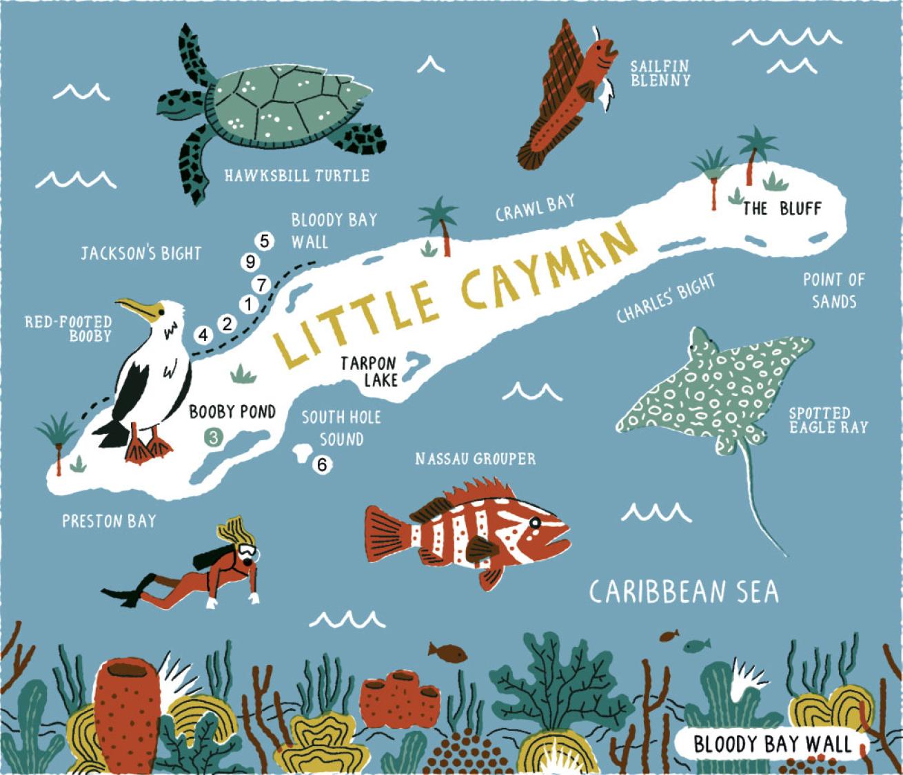 Little Cayman