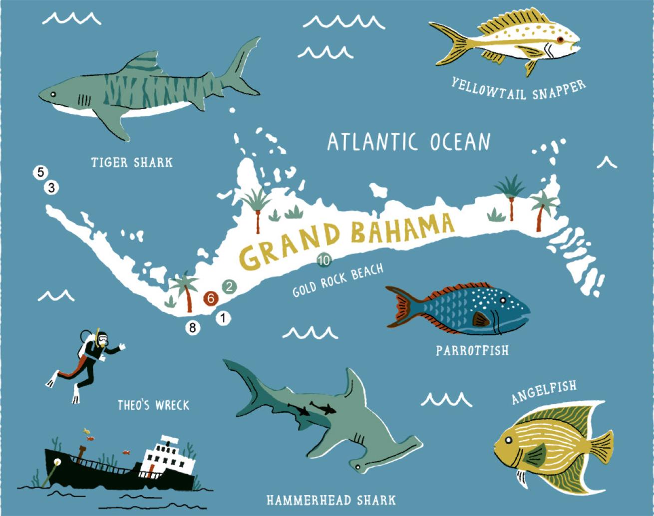 grand bahama