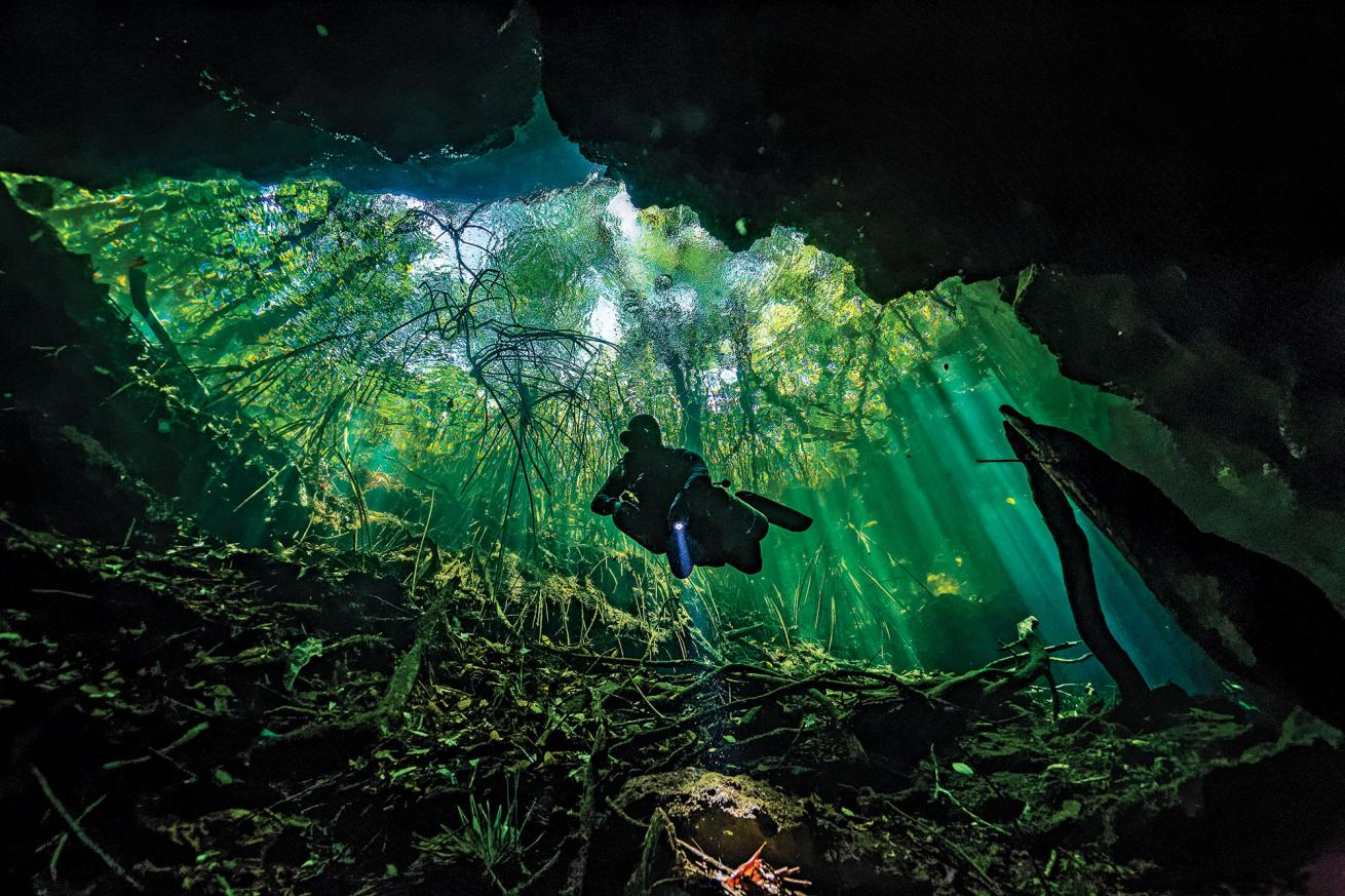 Mexico scuba diving