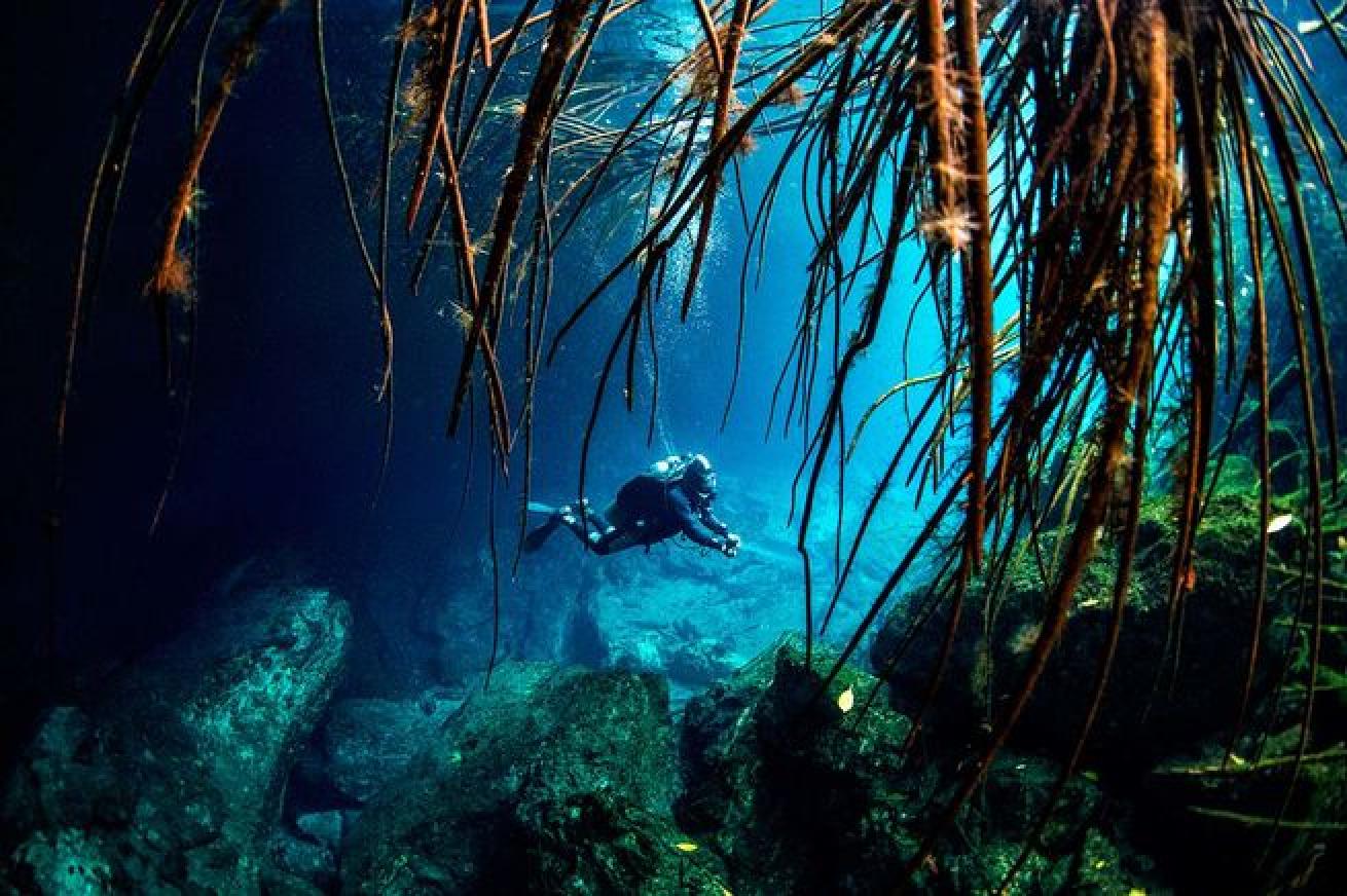 cavern diver