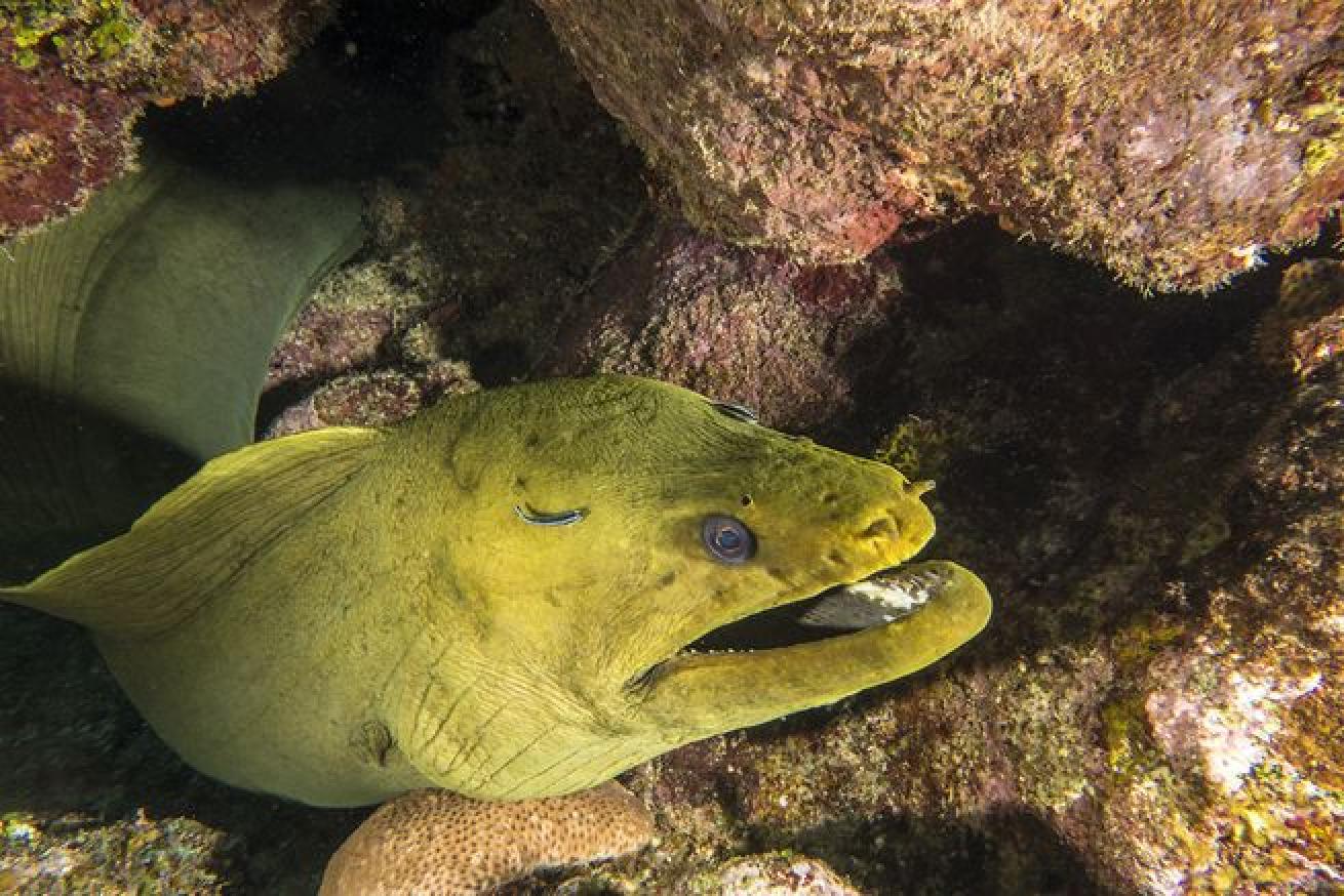 Bay Islands, Honduras