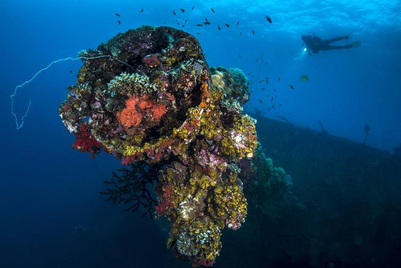 micronesia