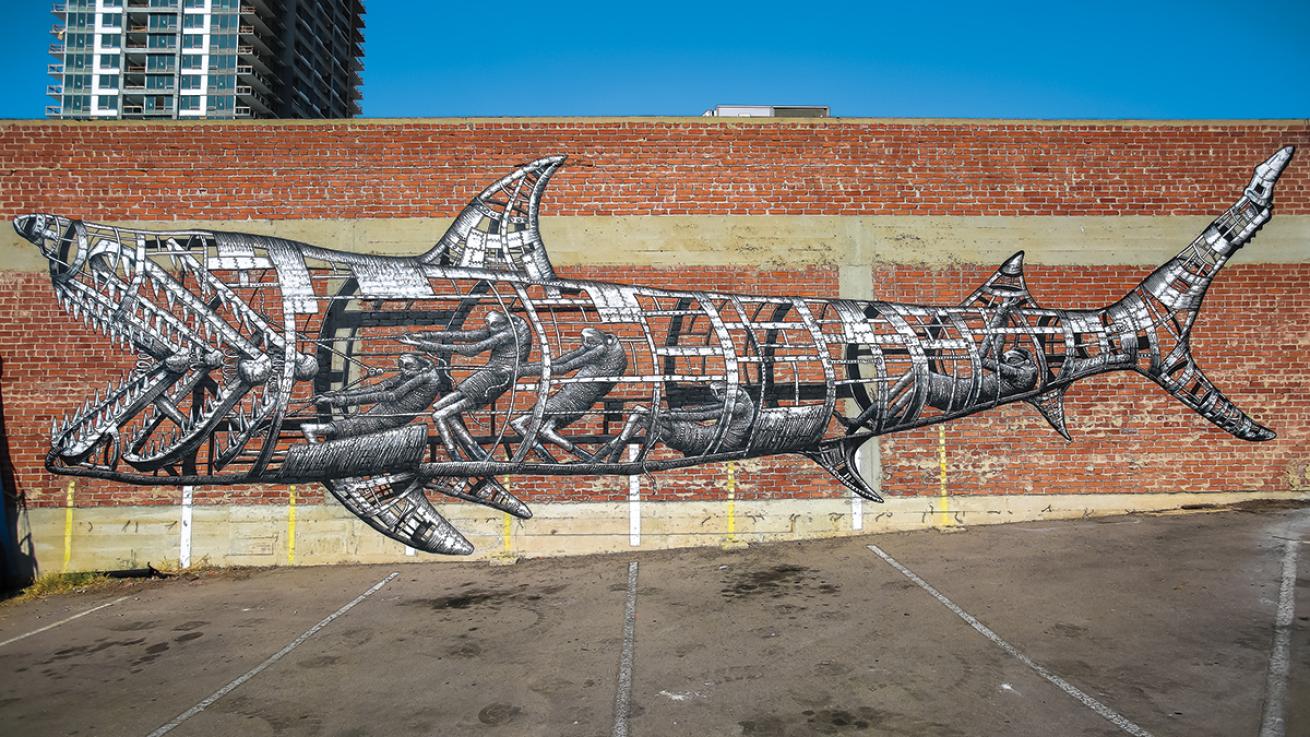 phlegm san diego