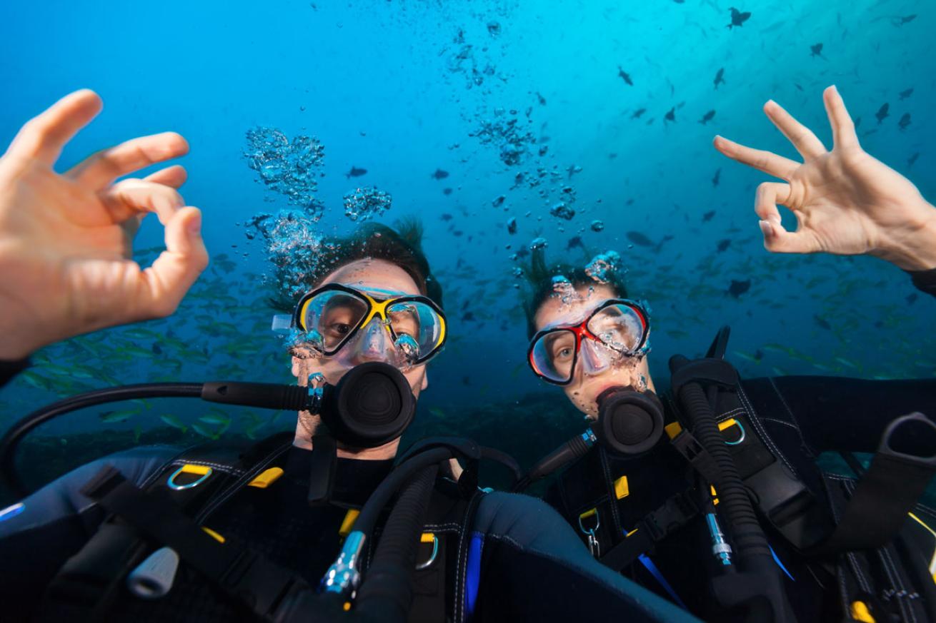 Better Dive Buddy
