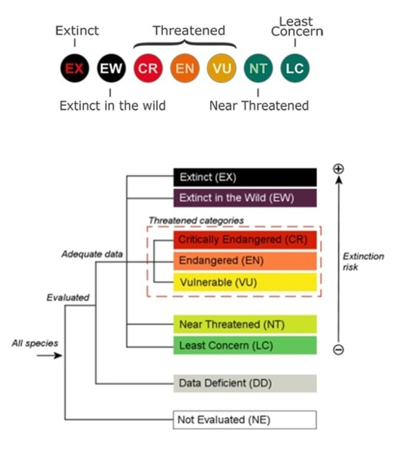 IUCN's Structure of the categories