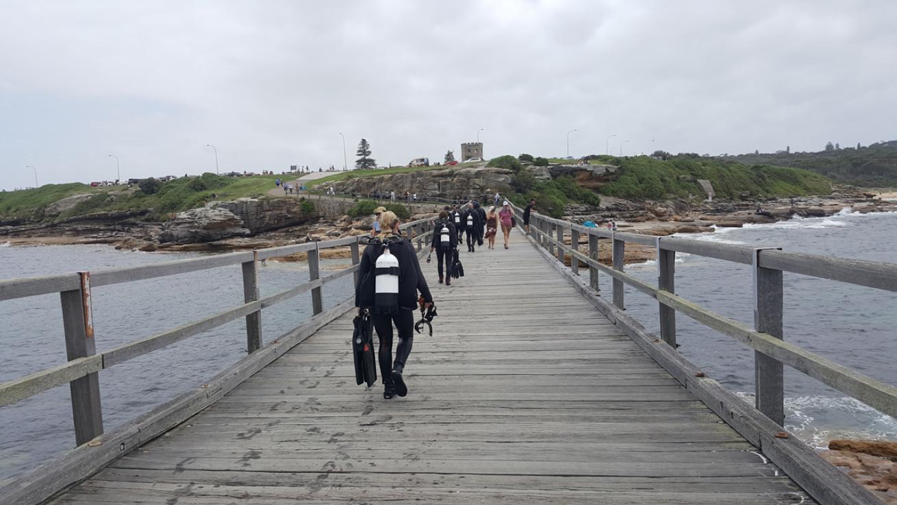 Bare Island Bridge Scuba Divers