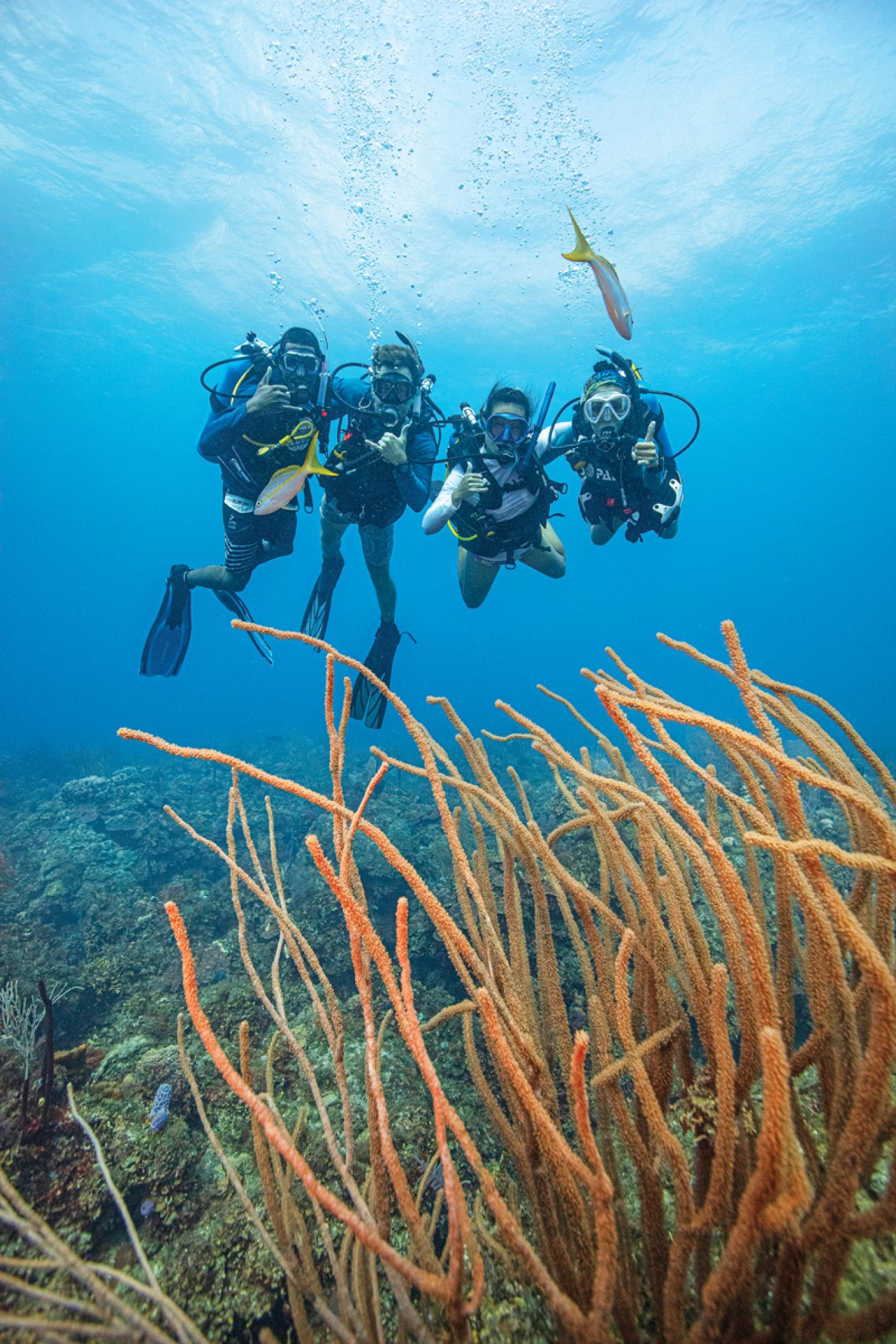 thebestisyettocome.scubadivingmagazine.december2021