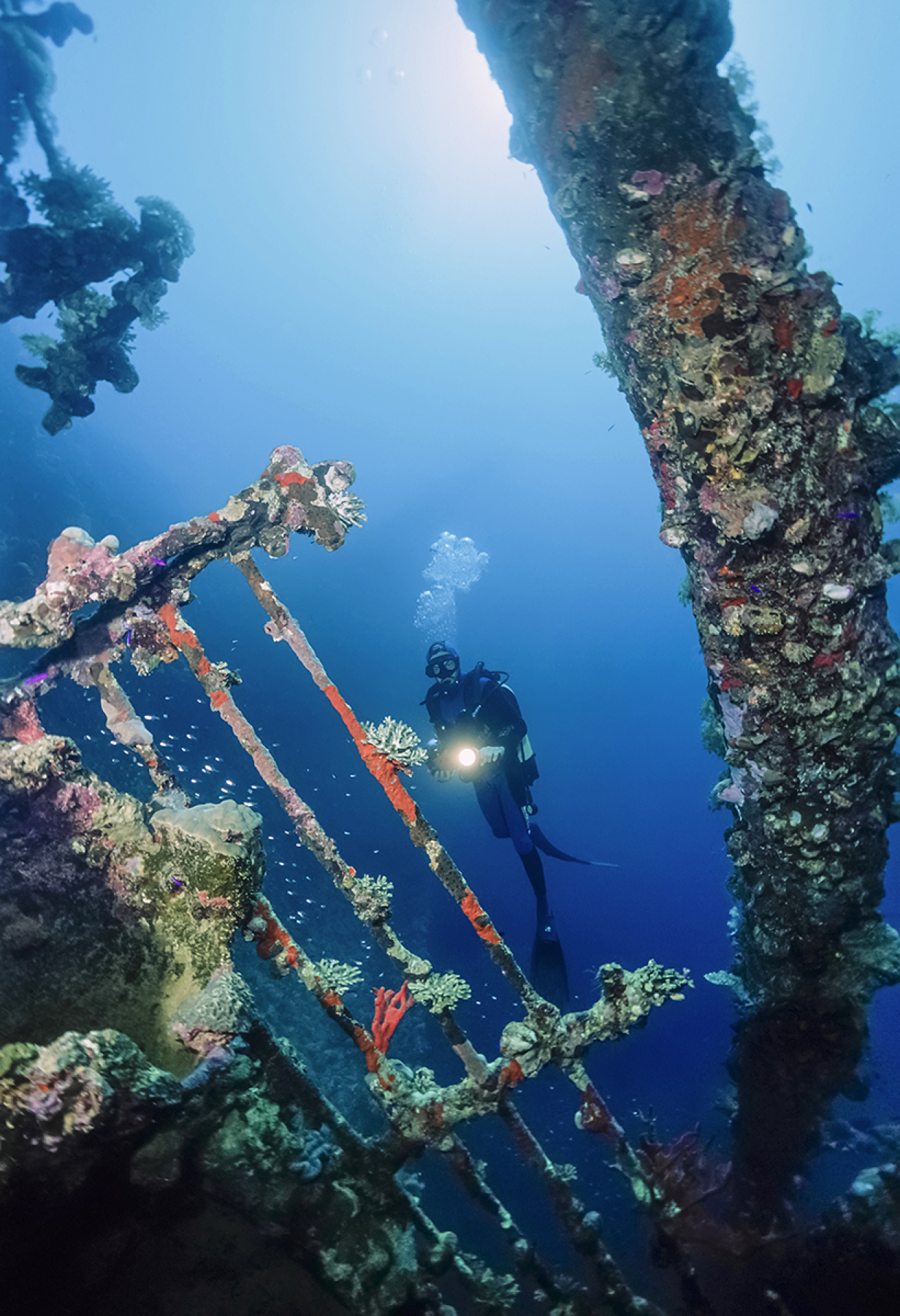 Diver on Umbria wreck