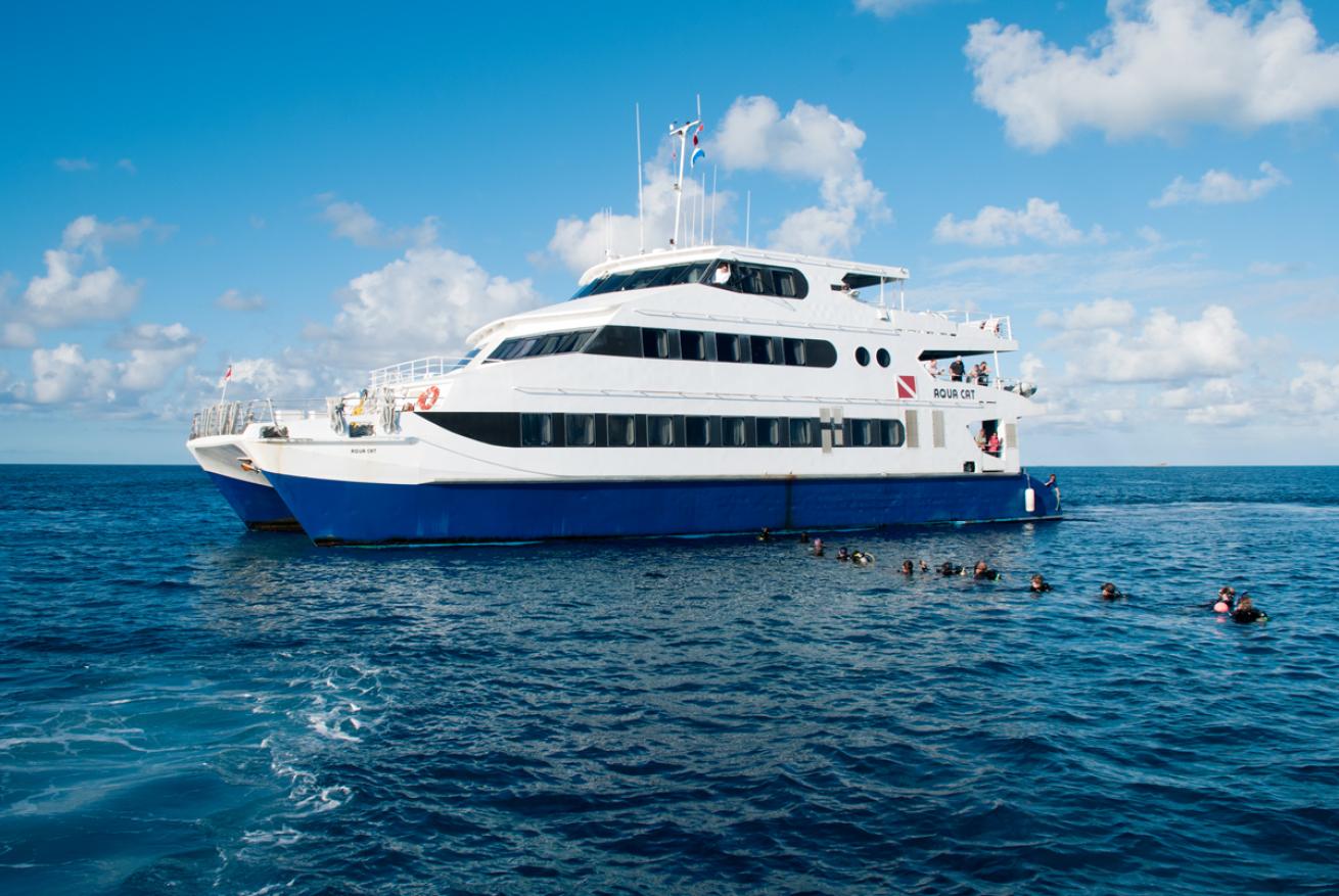 best liveaboard scuba diving