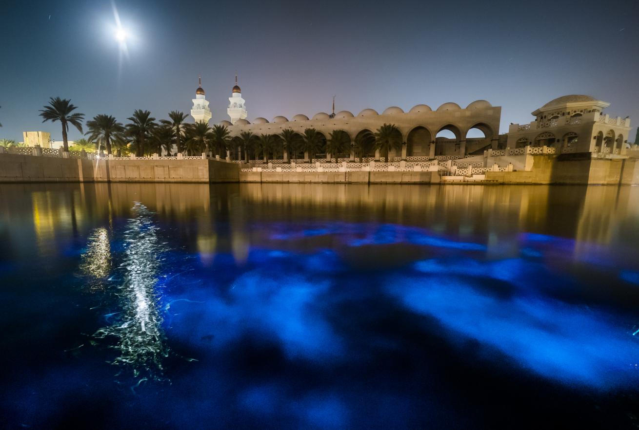 Bioluminescent Plankton In KAUST