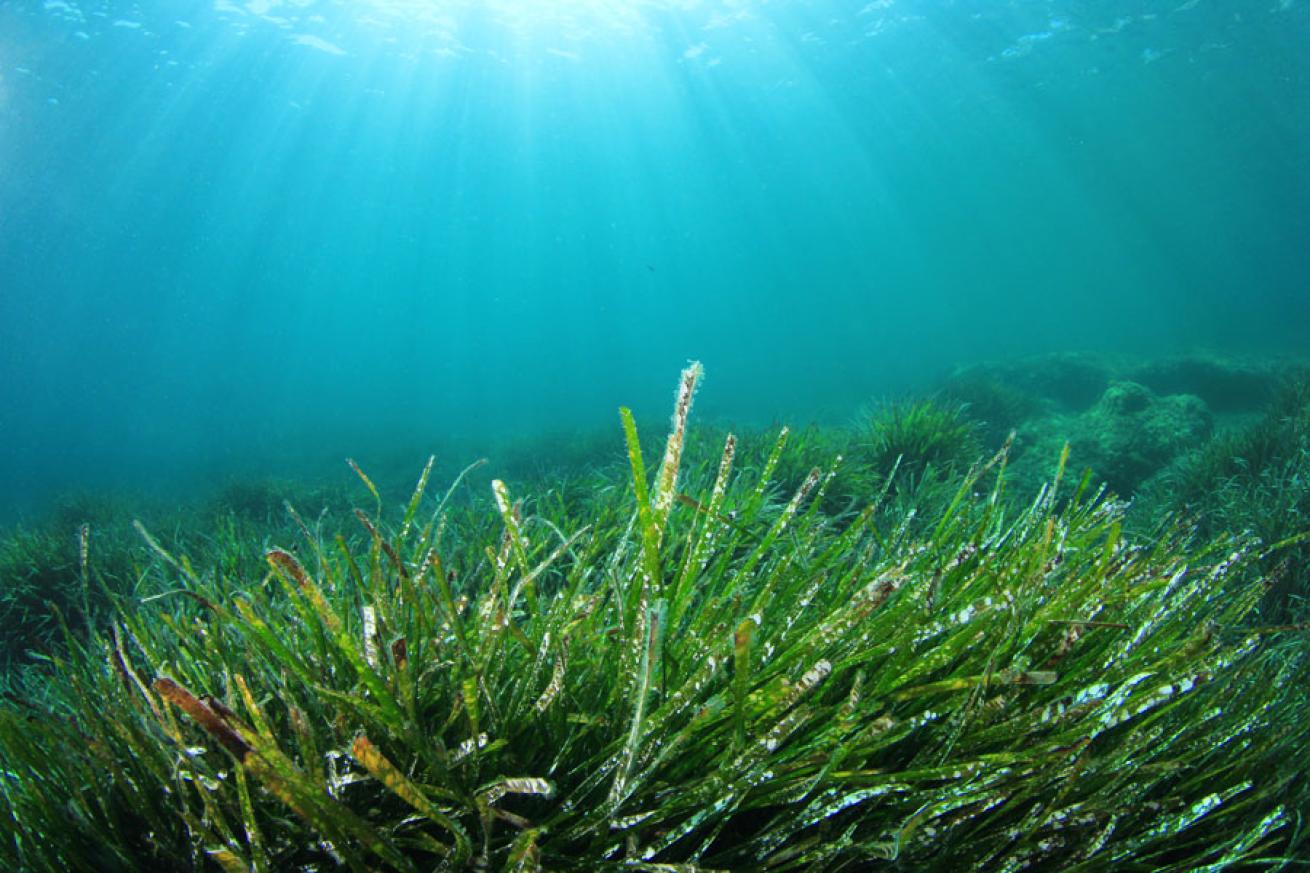 underwater spring