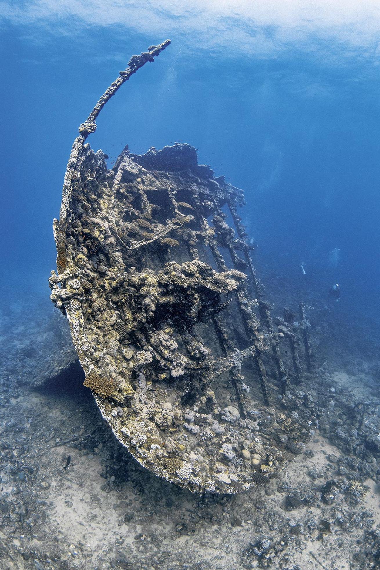 The stern of the Boiler Wreck on the Abu Madafi Reef near Yanbu lies at a max depth of 60 feet.