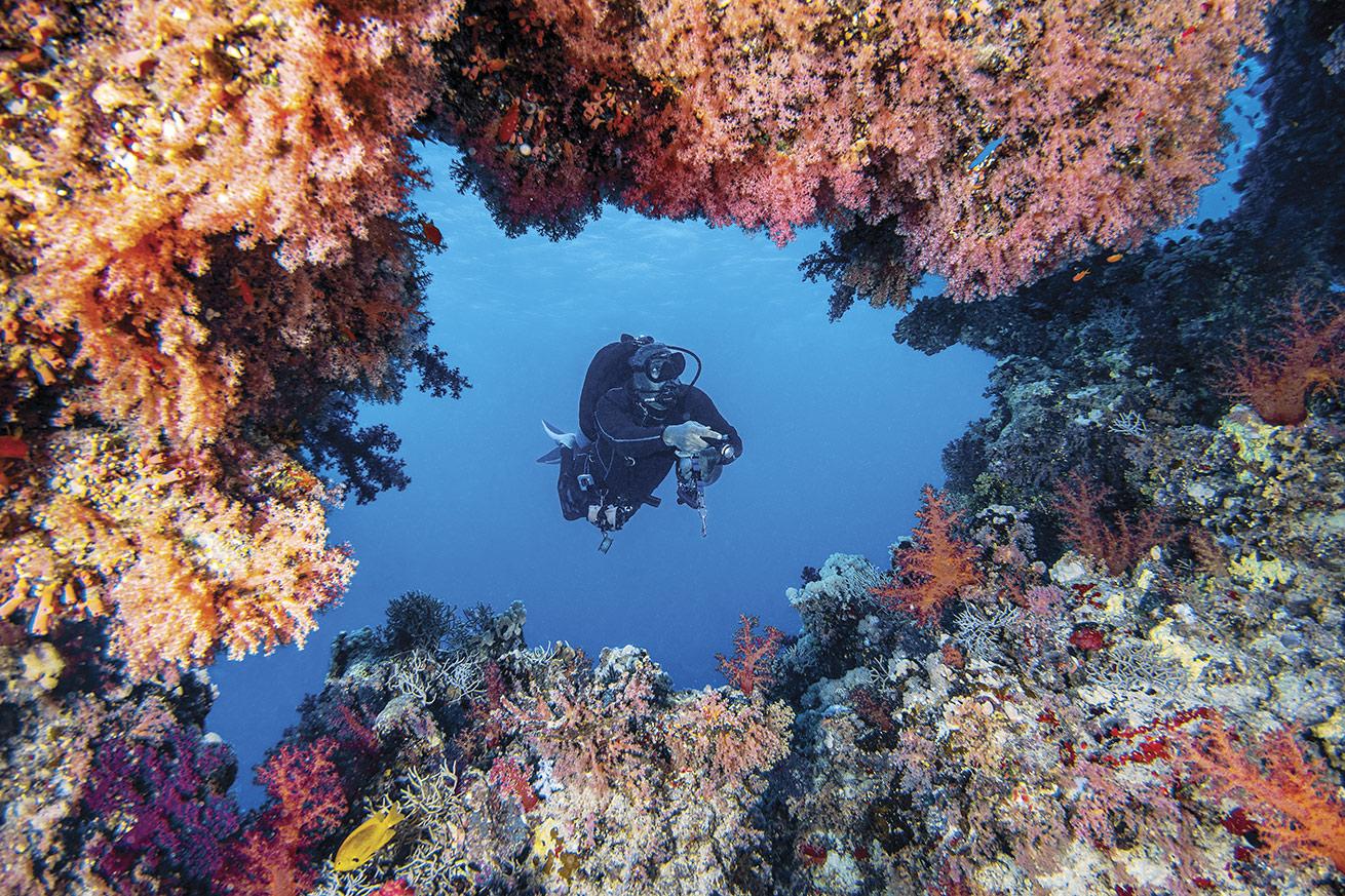 A diver glides through a soft coral formation at Marker 35 in the Seven Sisters area near Yanbu