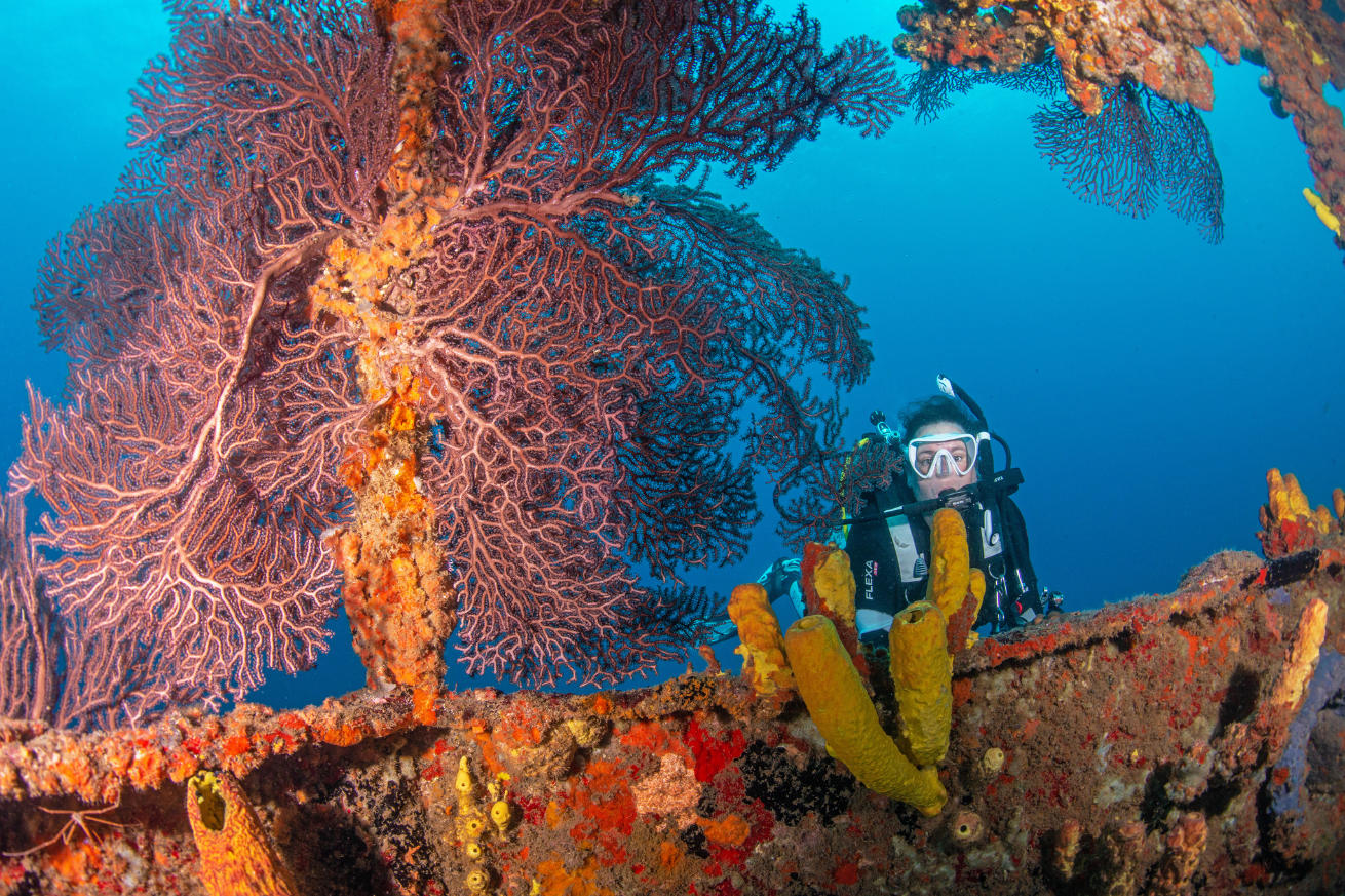 A scuba diver under water