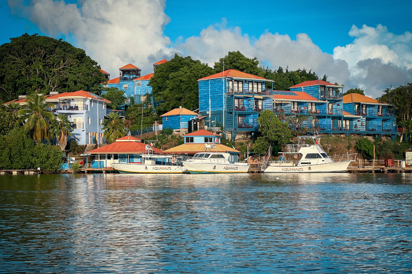 A group of boats on a body of water
