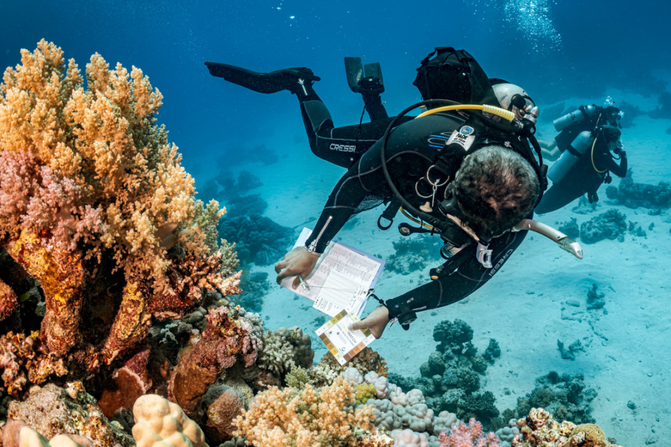 A scuba diver under water collecting data
