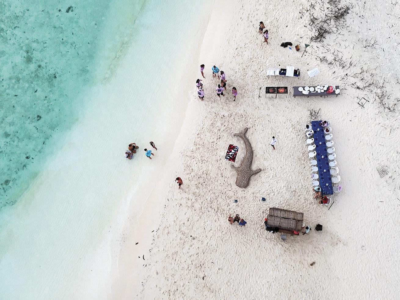 The liveaboard crew prepares a feast on a nearby island on the penultimate night.