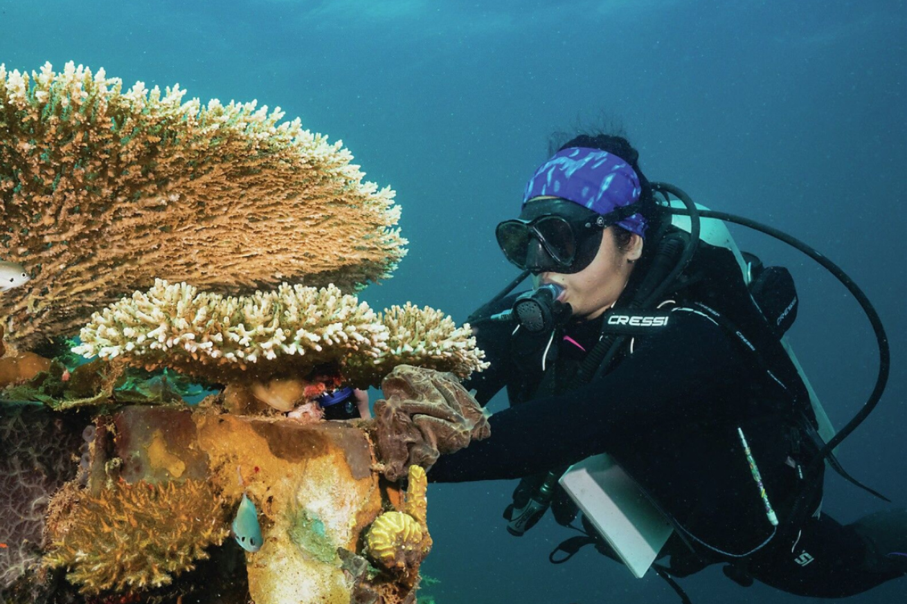 A person in scuba gear examining coral