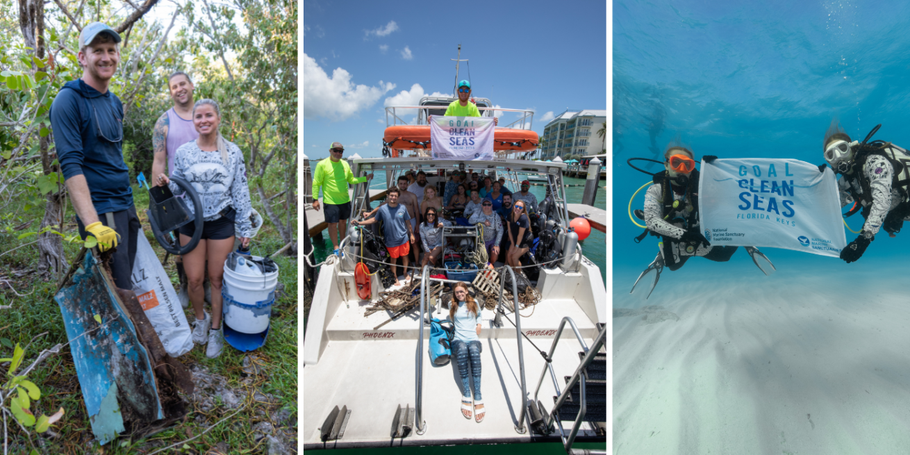 Land, boat and sea cleanups 