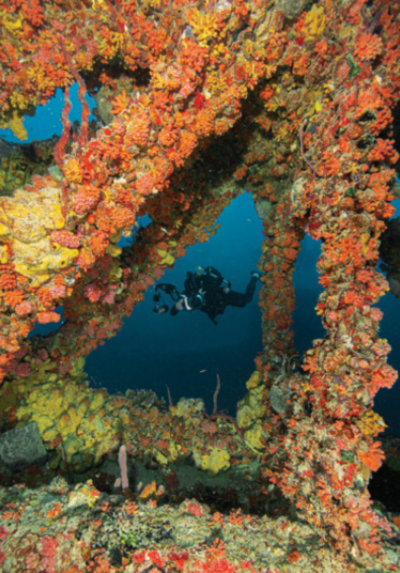 An underwater photographer sets up a shot on the USS Spiegel Grove. Purpose-sunk off Key Largo in 2002, the massive, coral-covered wreck has plenty of photogenic features.