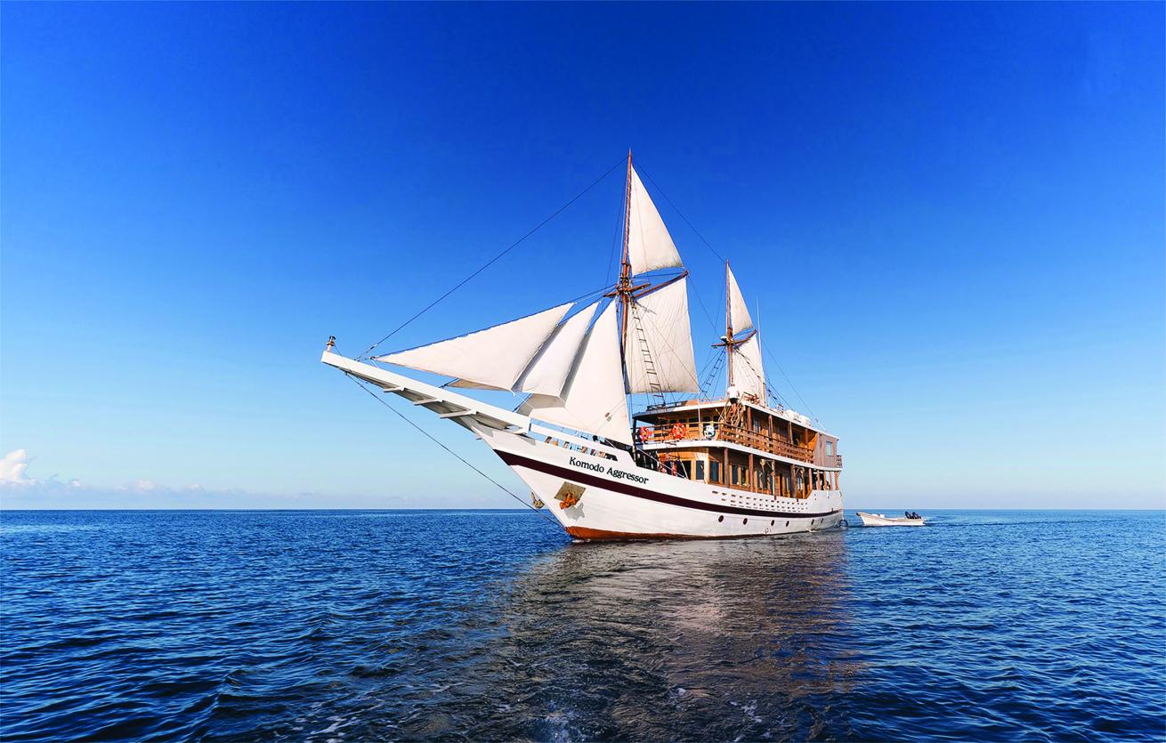 A large white ship in the water
