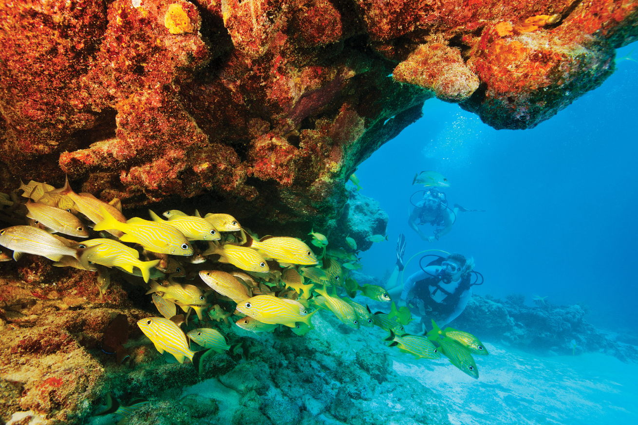 A couple of people scuba diving under water