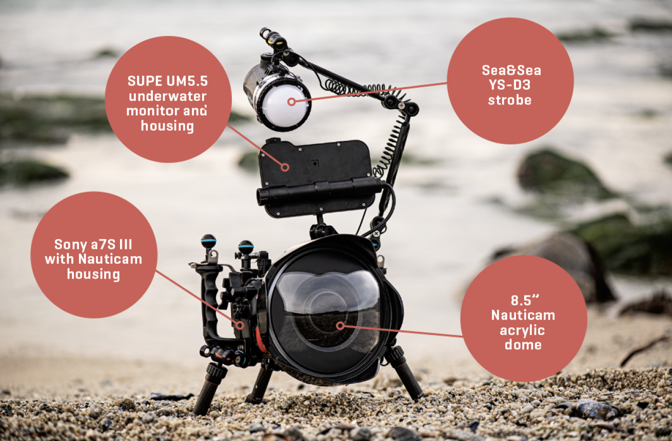 an infographic of setup of gear used to take a split shot in a tide pool 