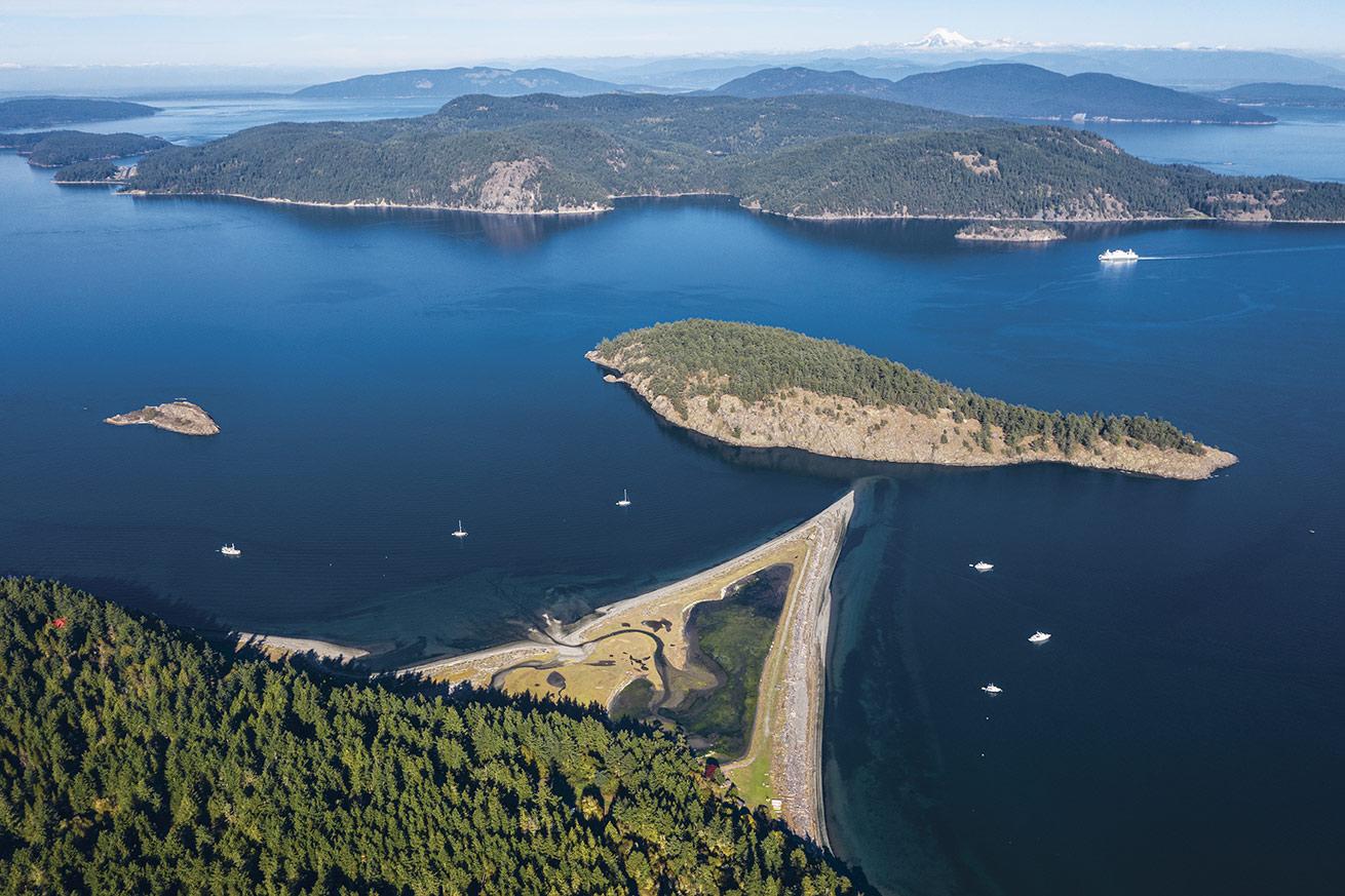 A 500-yard trudge along pointy-tipped Spencer Spit on Lopez Island provides access to the critter-rich wall on adjacent Frost Island.