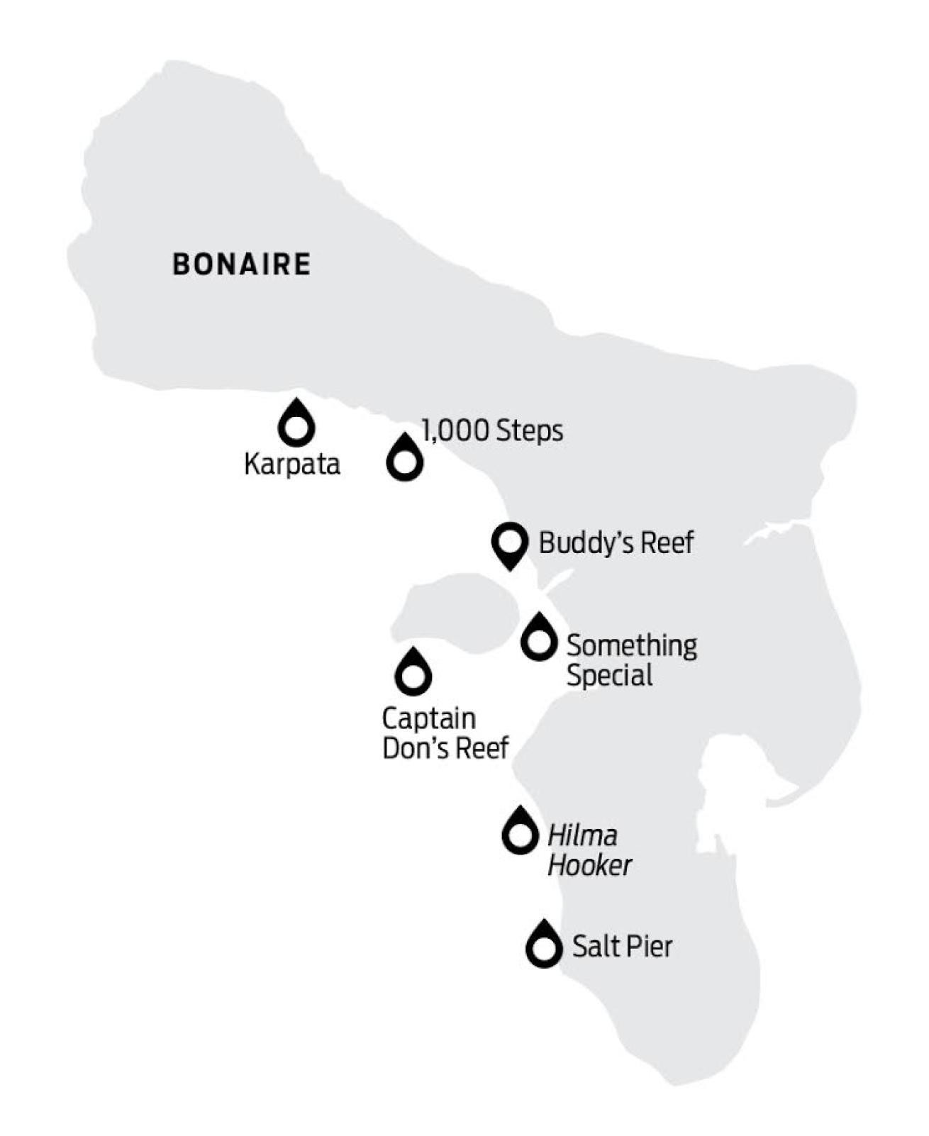 best scuba diving sites bonaire