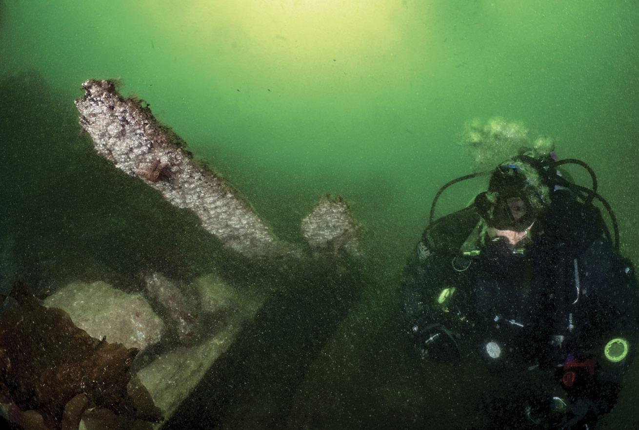 A diver approaches what remains of the Panther, a nearly 200-year-old clipper ship that sank off the coast of British Columbia in 1874