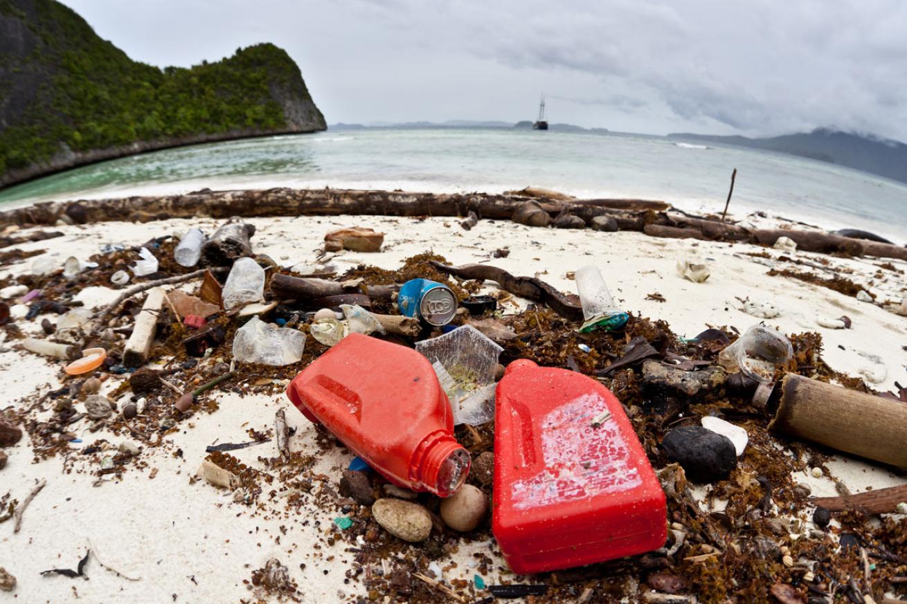 Single-use Plastics on Beach