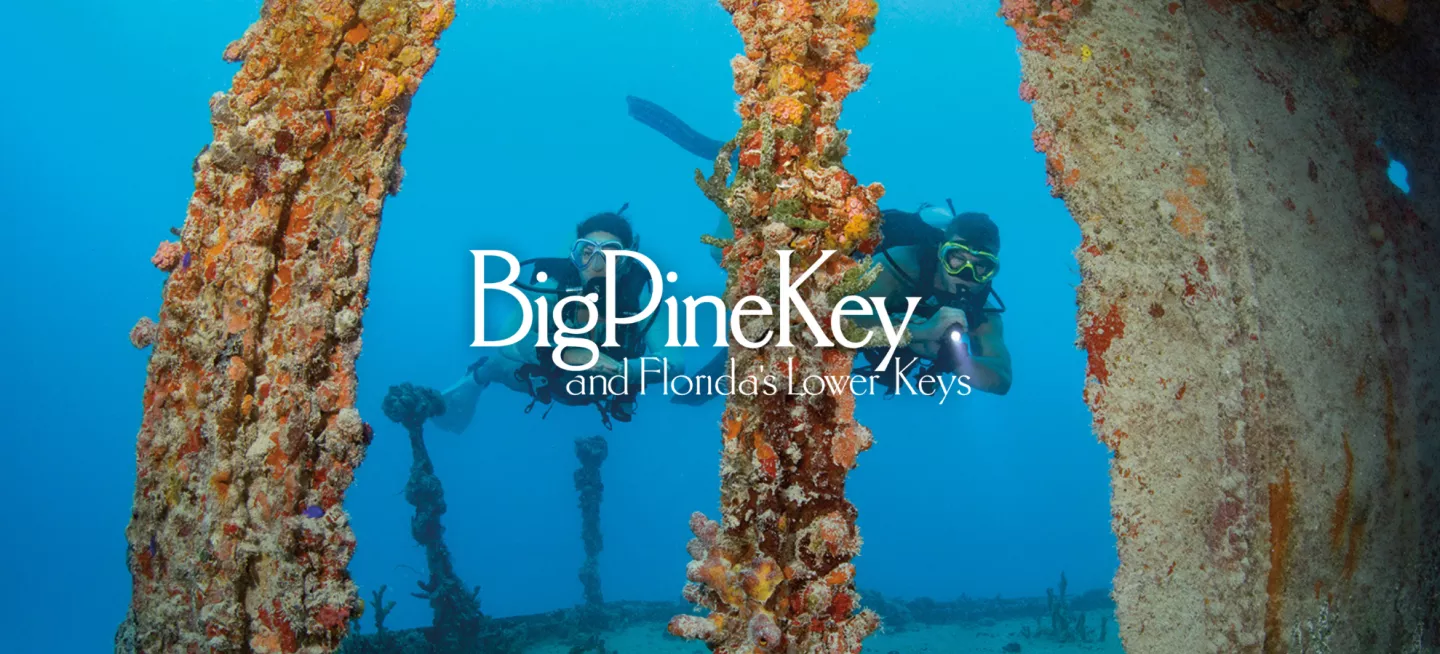 diver on a wreck