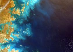 Digital Earth Day 2020