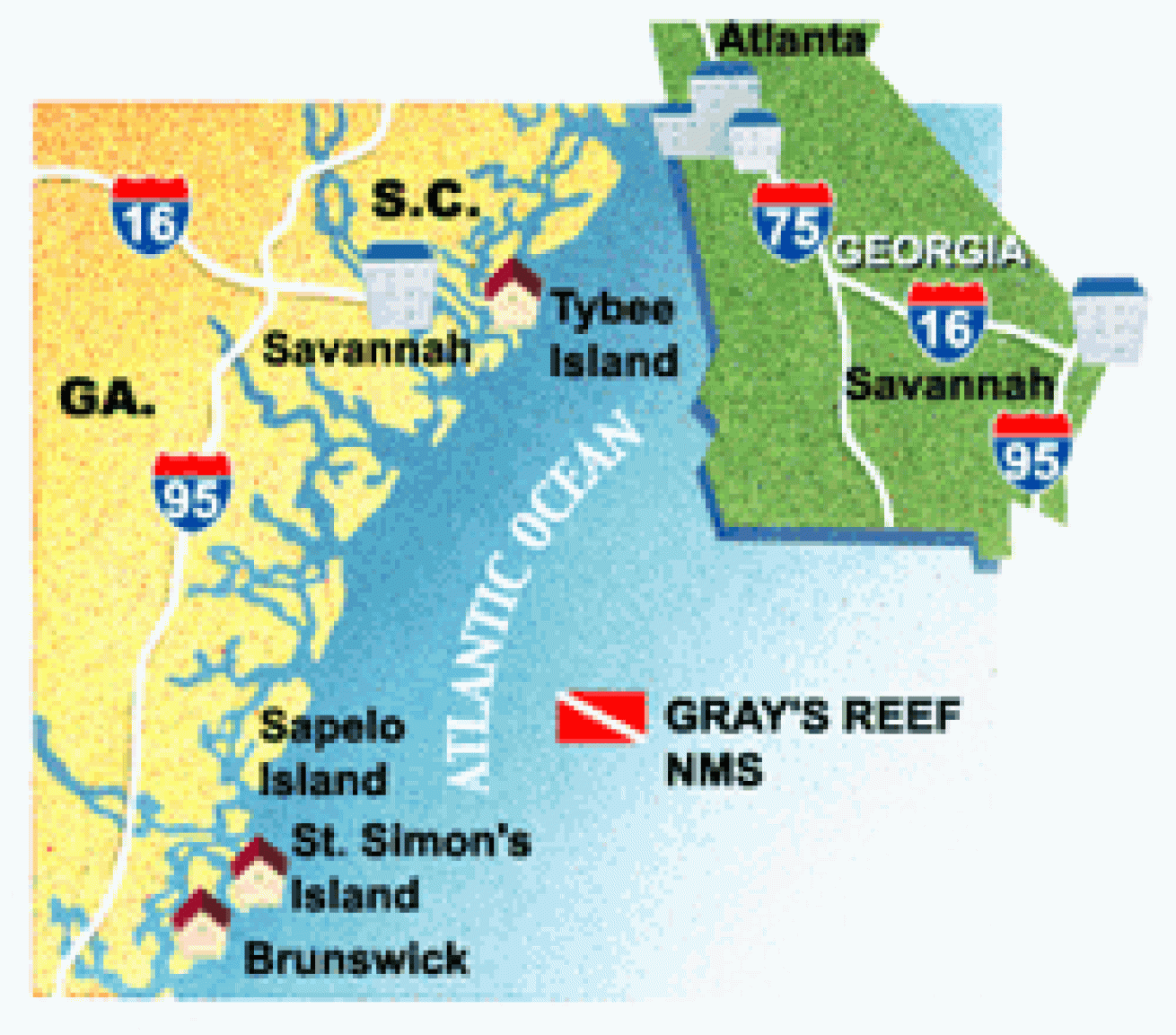 Gray's Reef National Marine Sanctuary | Scuba Diving