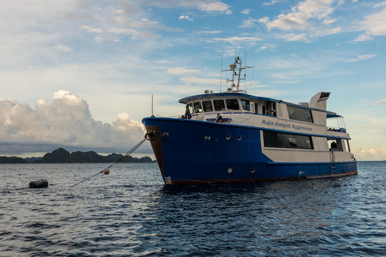 RAJA AMPAT AGGRESSOR
