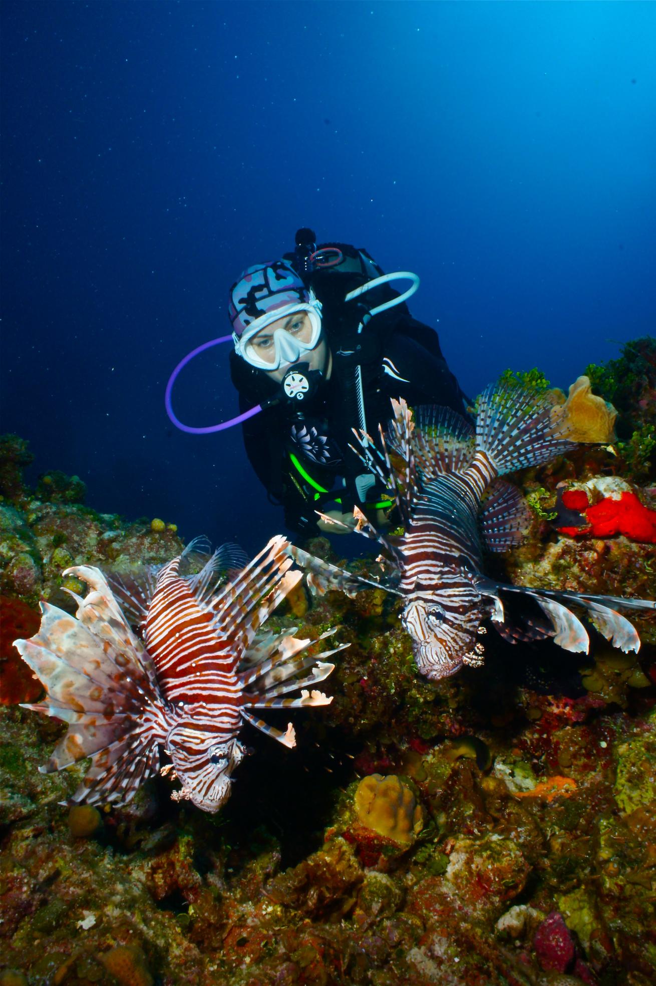 Bahamas scuba diving coral reef lionfish
