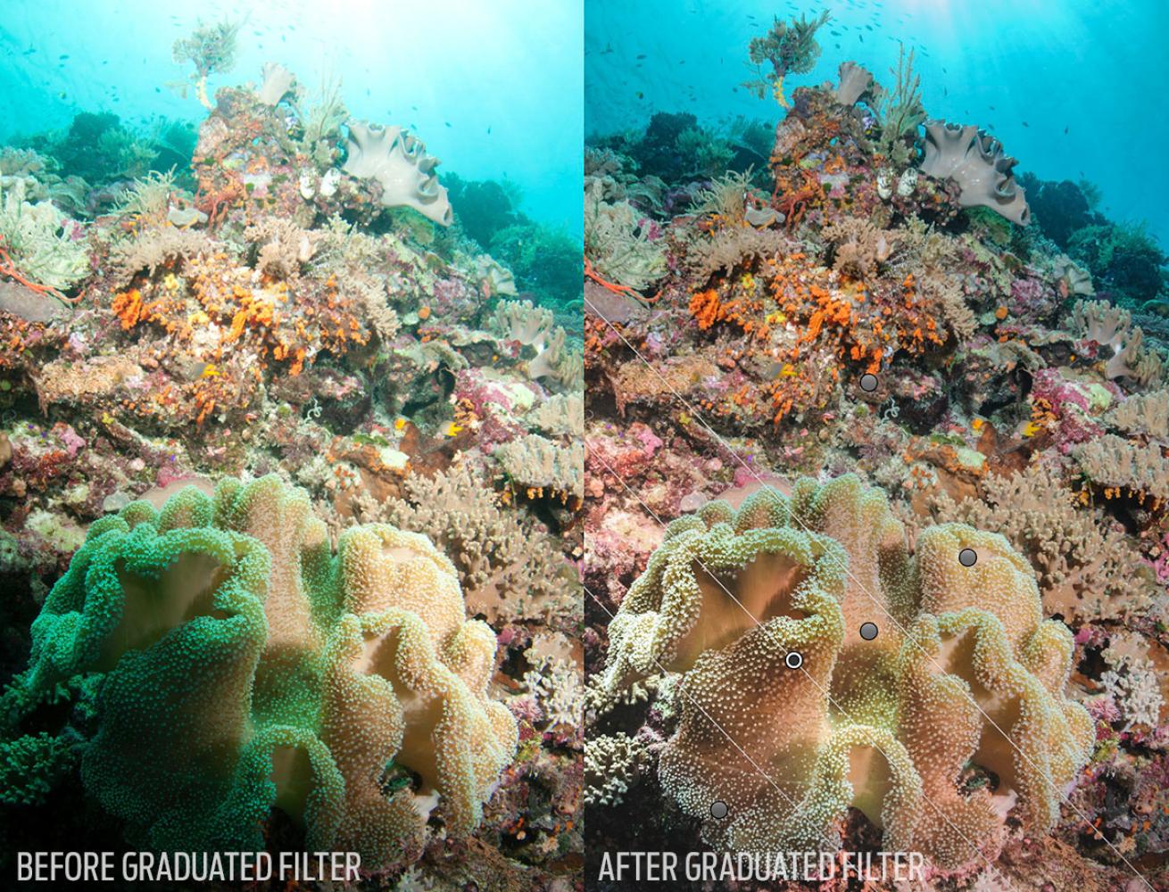 using filters in Lightroom