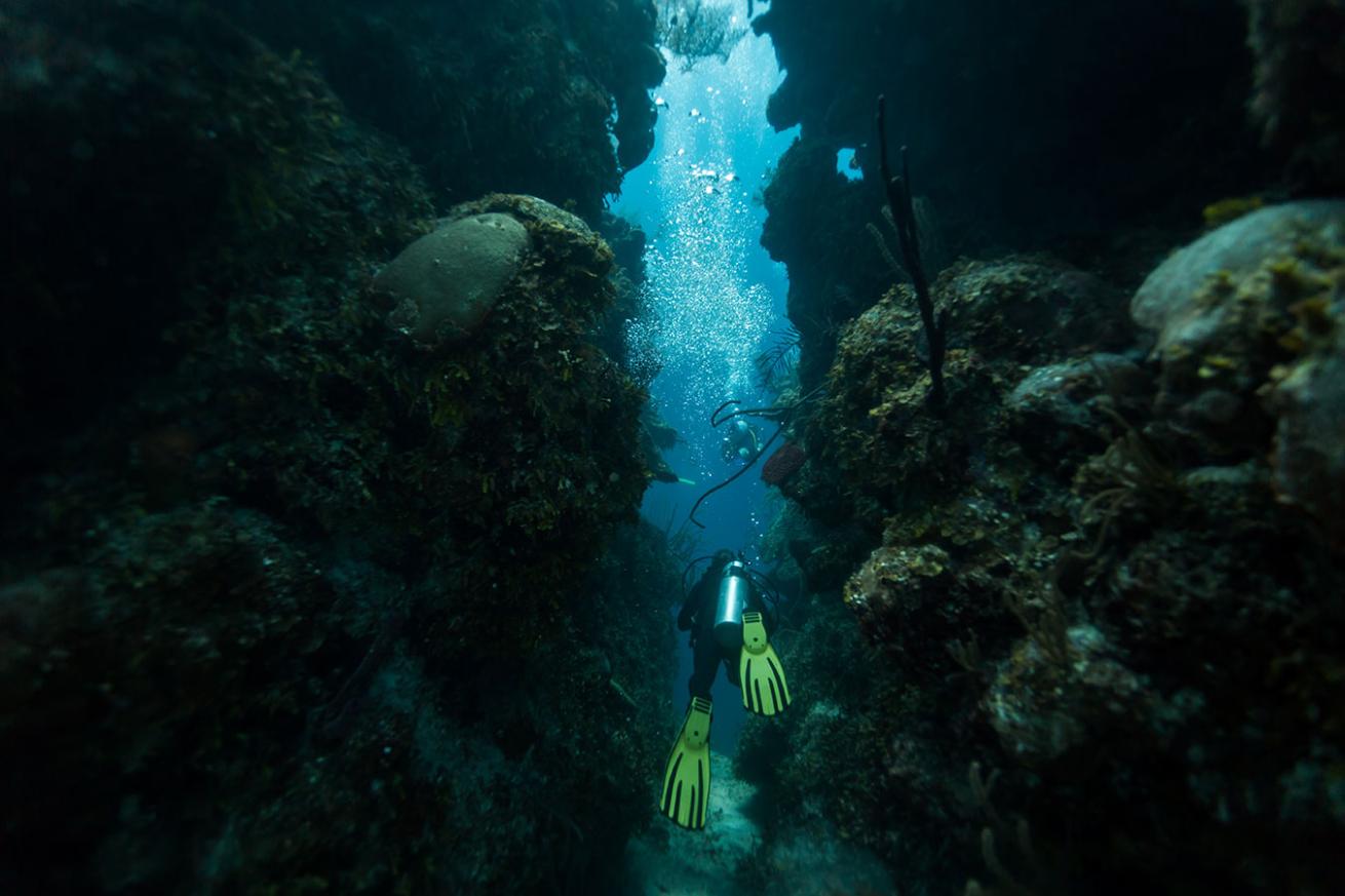 Belize Scuba Diving