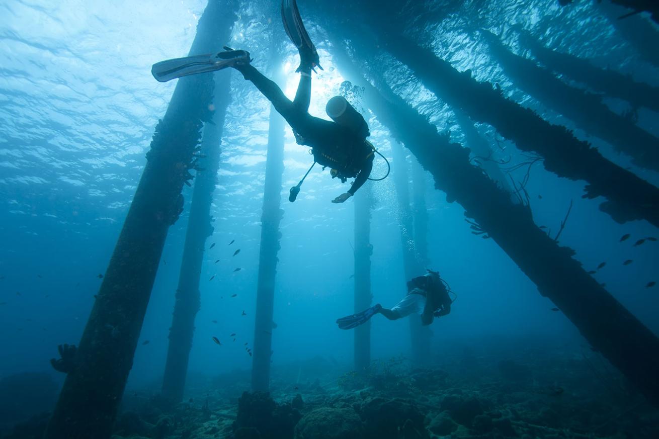 Bonaire Scuba Diving
