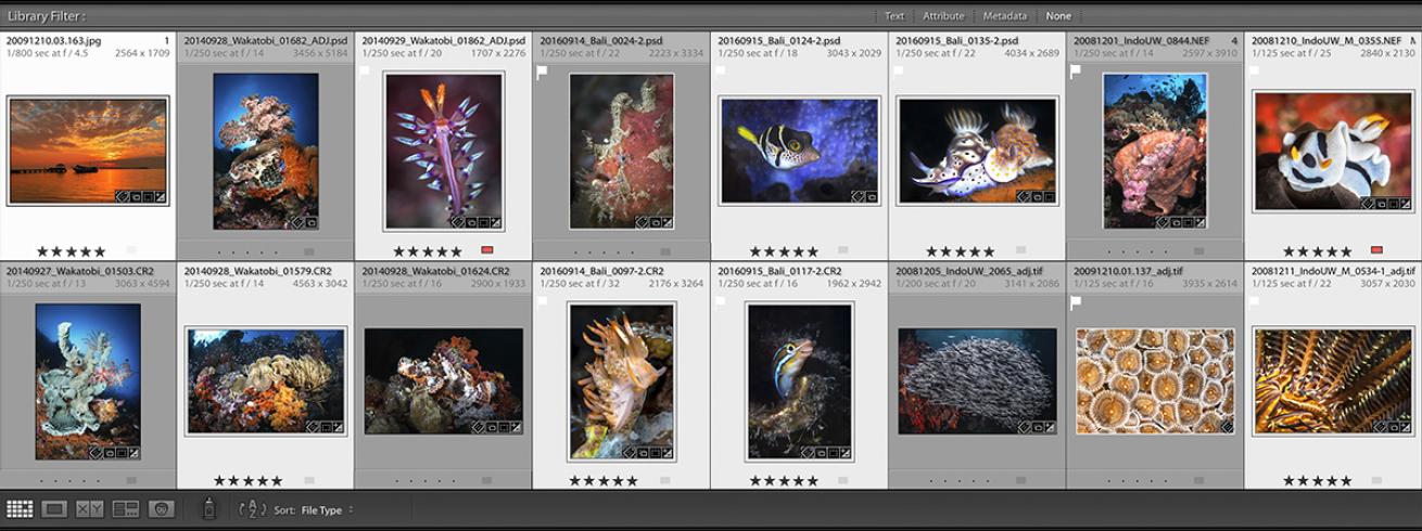 lightroom tutorials