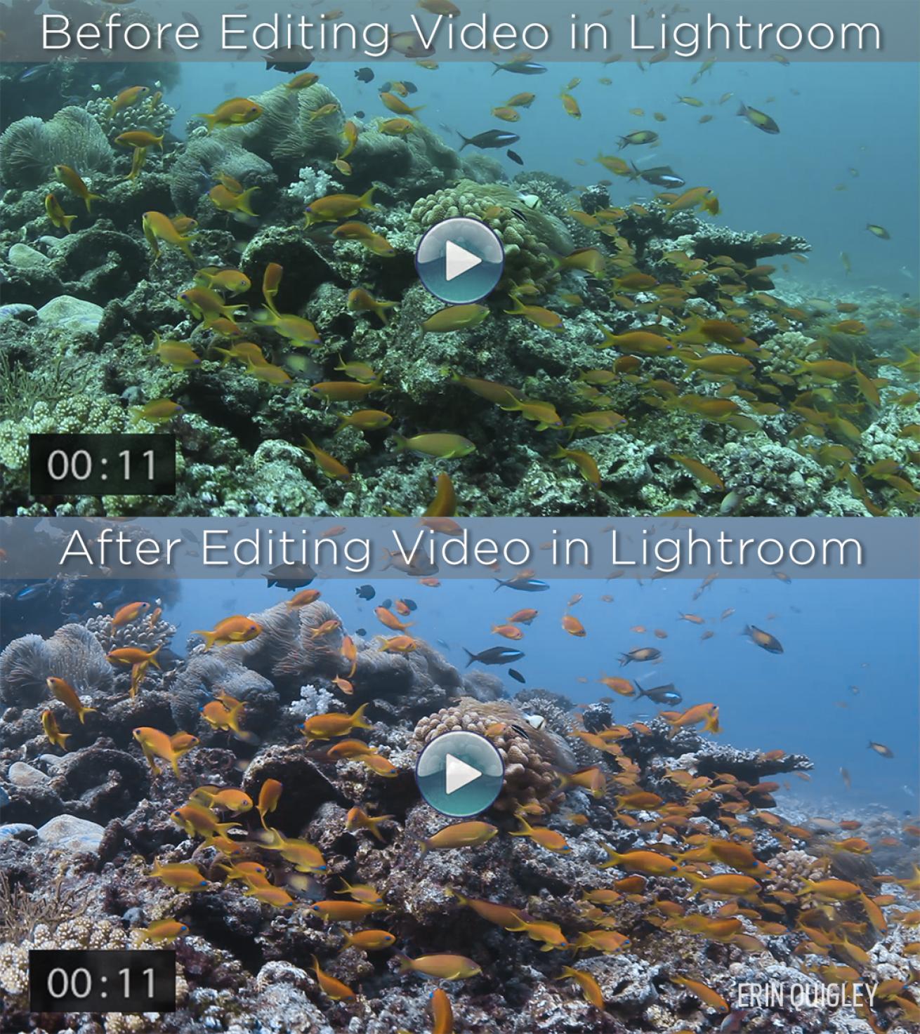 lightroom video editing tips