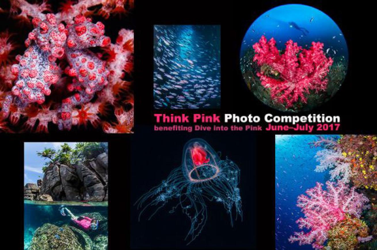 underwater photography contest