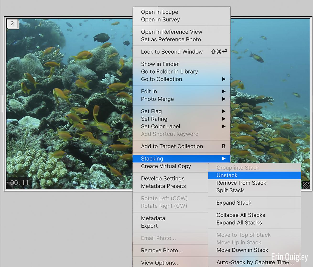 lightroom video editing tips