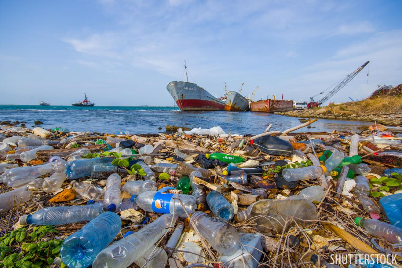 plastic pollution in the ocean